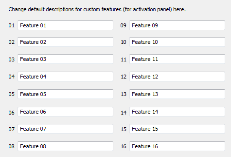 Descriptions for custom features